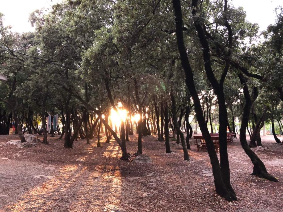 Villa Ariel Luštica Esterno foto